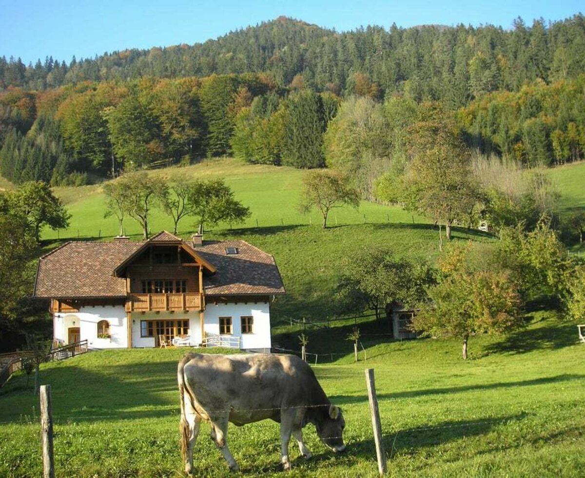 Unser Gästehaus