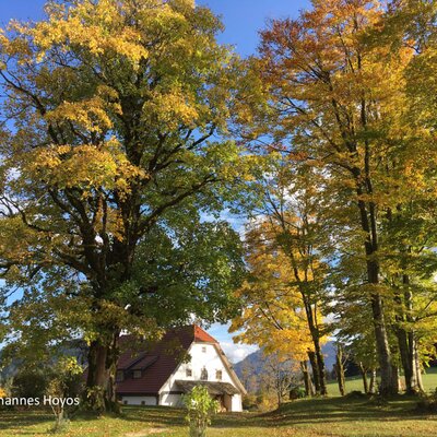 Die Hinterbreiteneben - Hausansicht Herbst