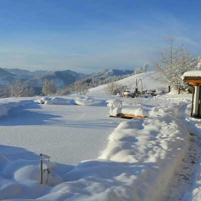 Teich Winter