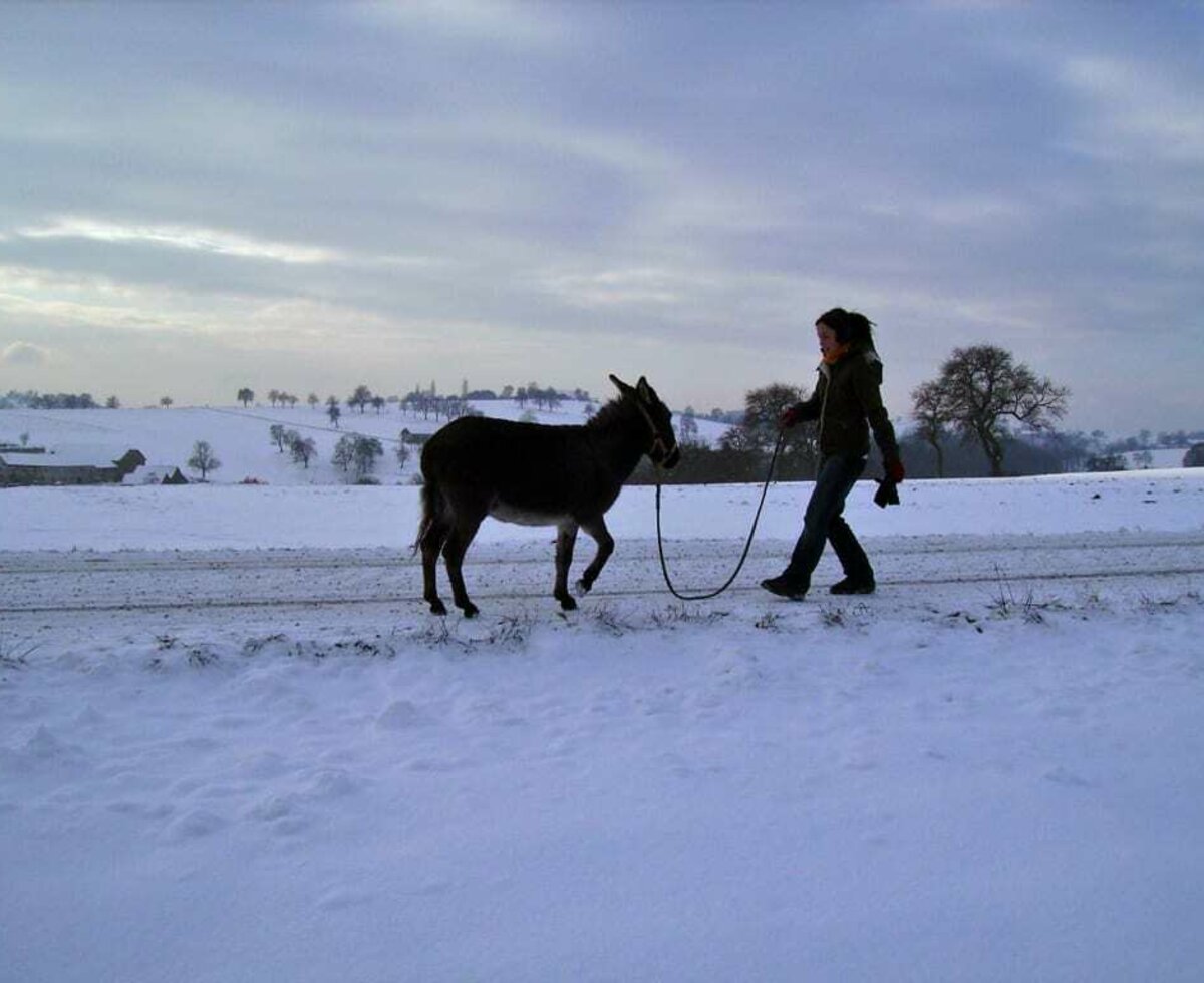 Winterspaziergang © Esperanza