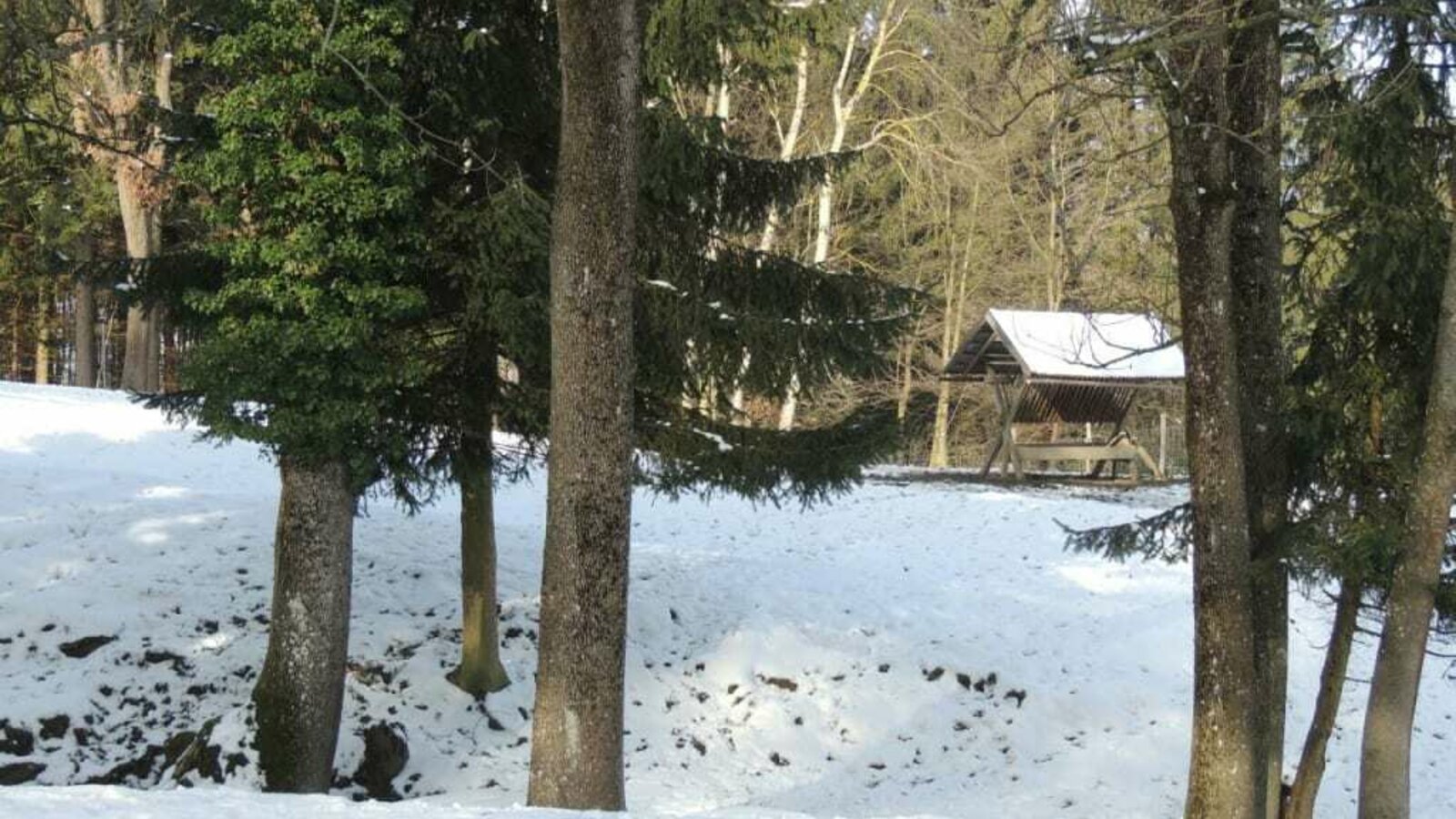 Ferienwohnung Heimberger - Rotwildgehege Winter