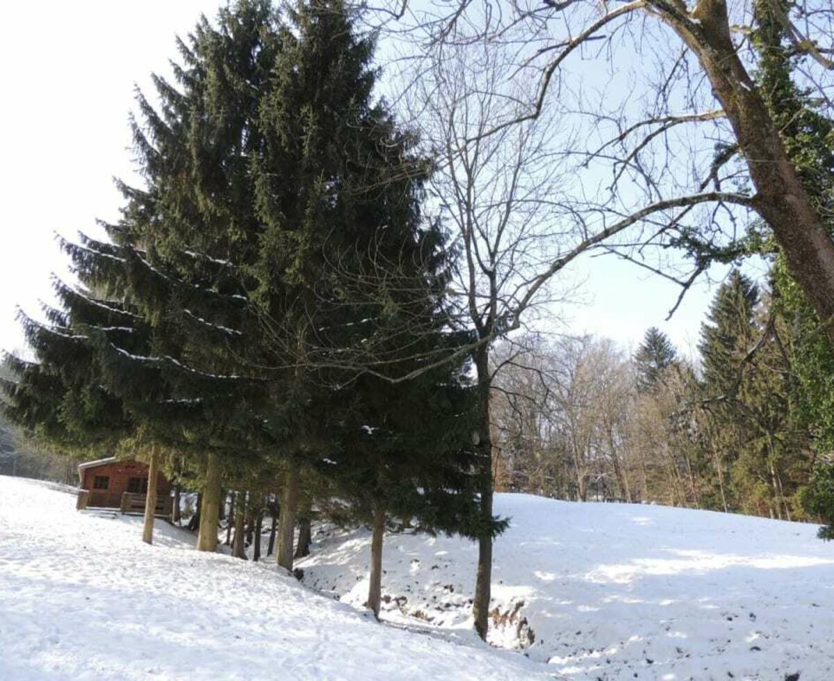 Ferienwohnung Heimberger - Rotwildgehege Winter