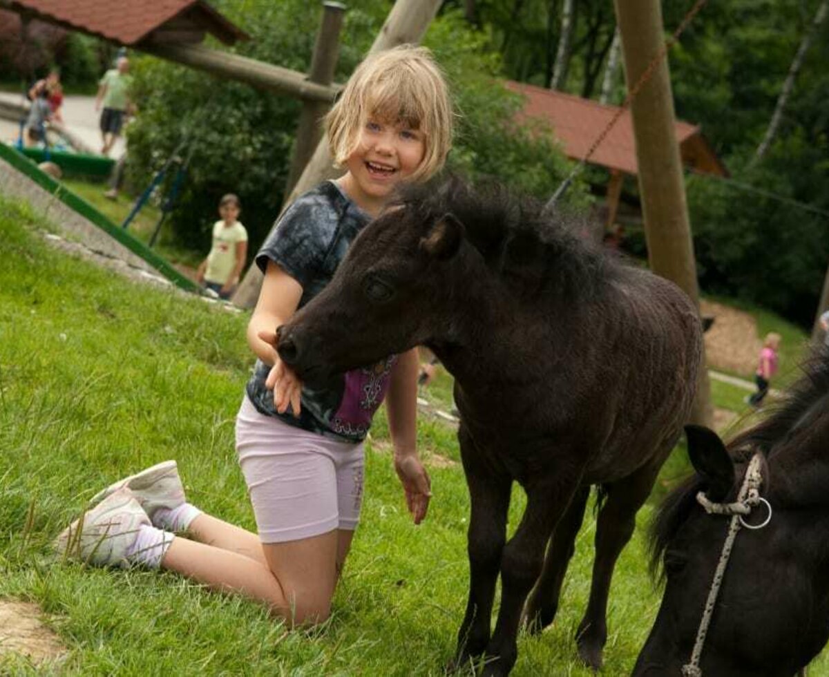 Die Hochrieß - Ponys