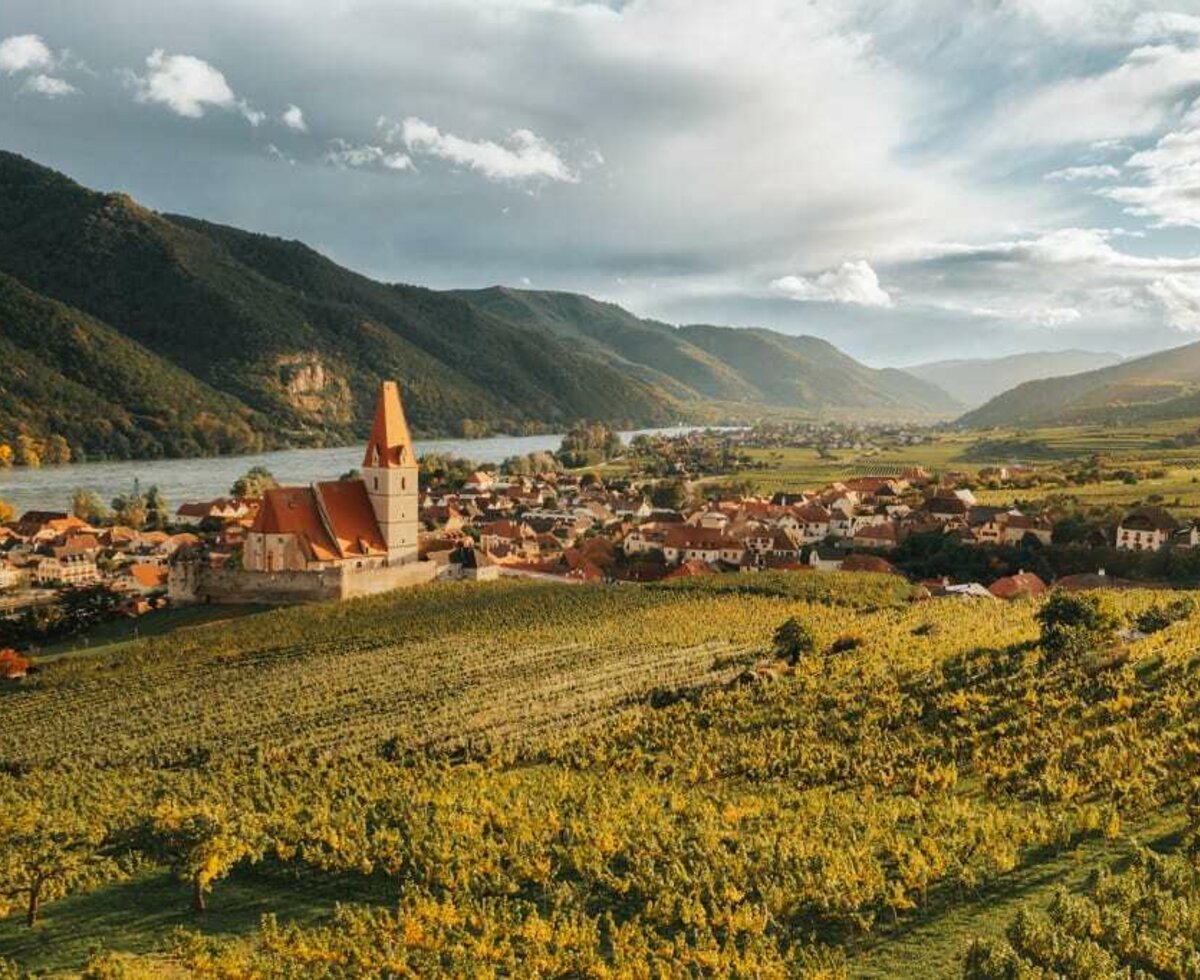 Ferdl Denk - Lebensfreude aus der Wachau (© Ferdl Denk KG)