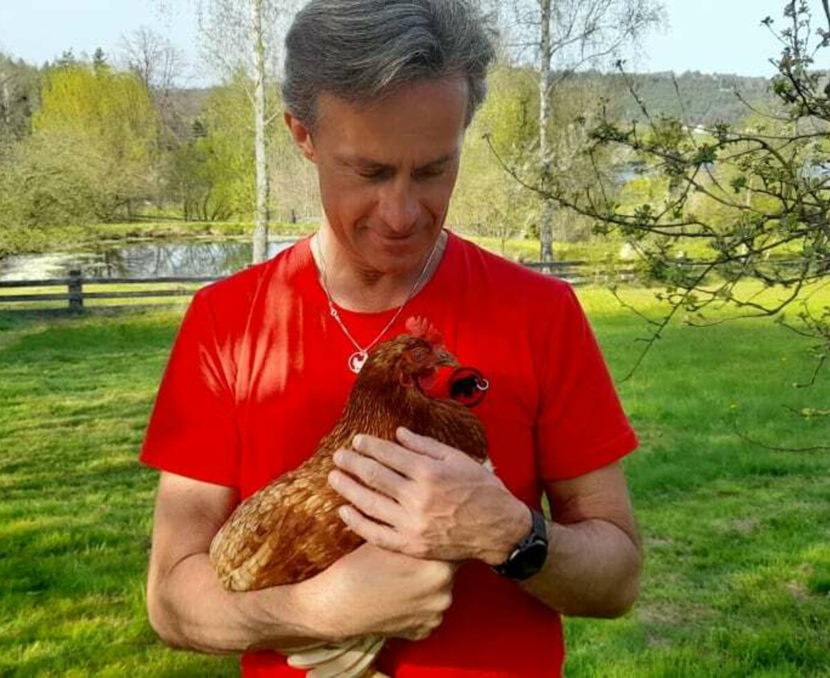 Ferienhaus Angel - Klaus mit seinem Huhn