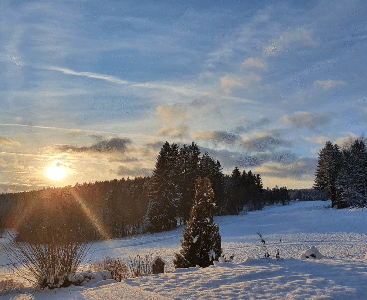 Ferienhaus am Bärentrail - Winterlandschaft