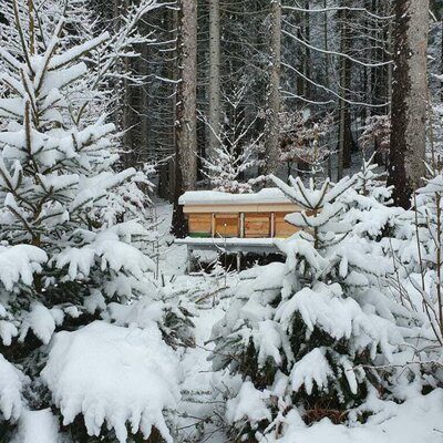 Ferienhaus Böhm am Bärentrail - Bienenstöcke im Winter