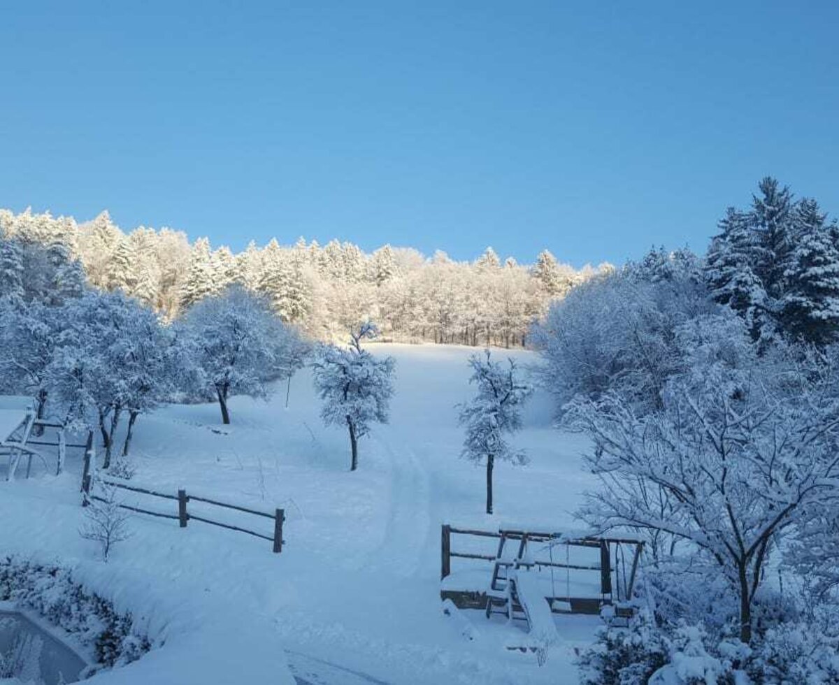 Winterlandschaft in Schrattenbach