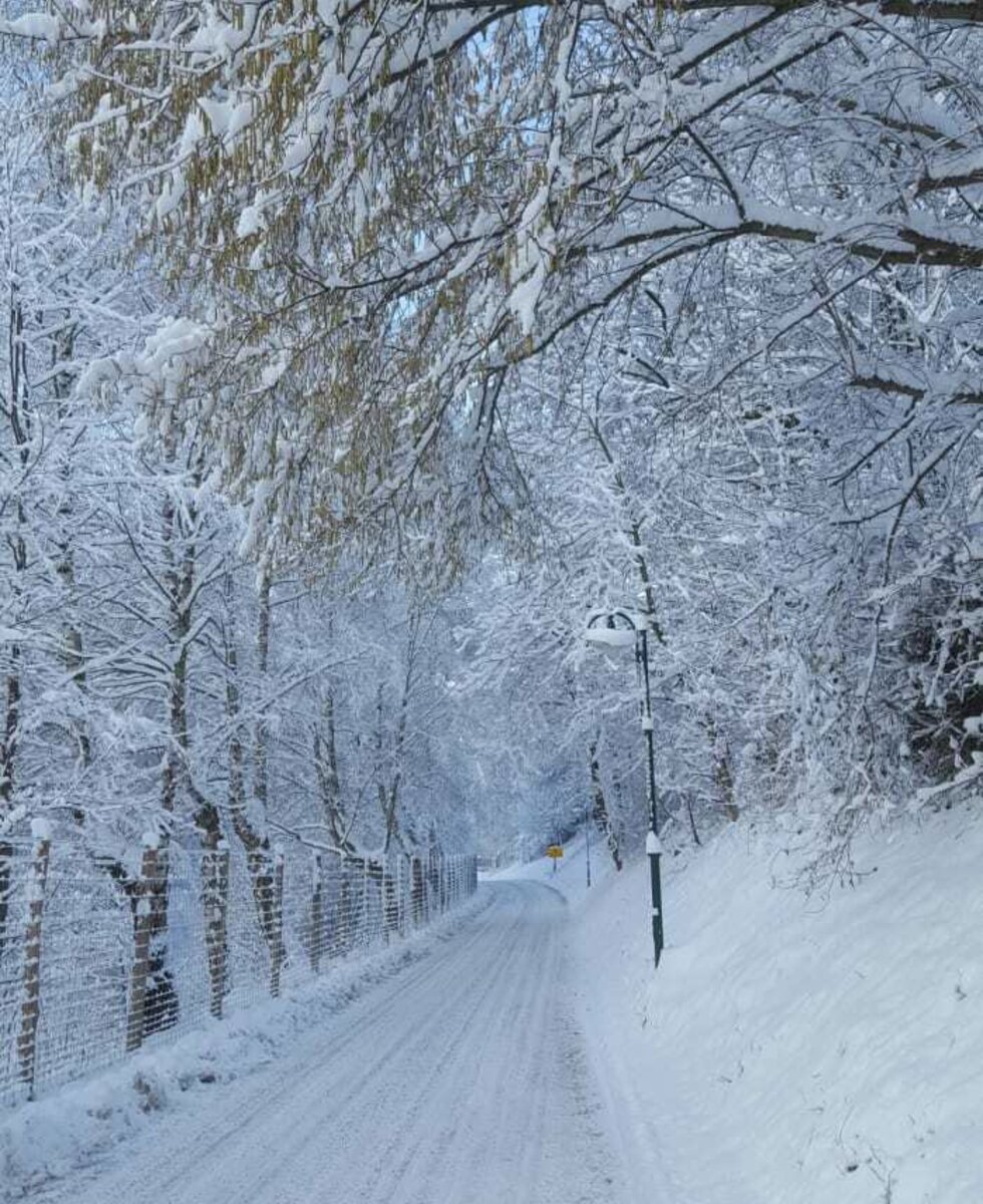 Einfahrt nach Schrattenbach im Winter