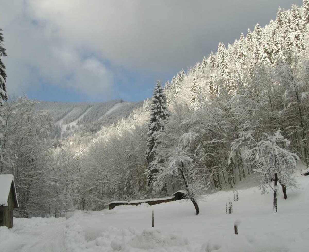 Ferienhof Schelchen - Winterlandschaft