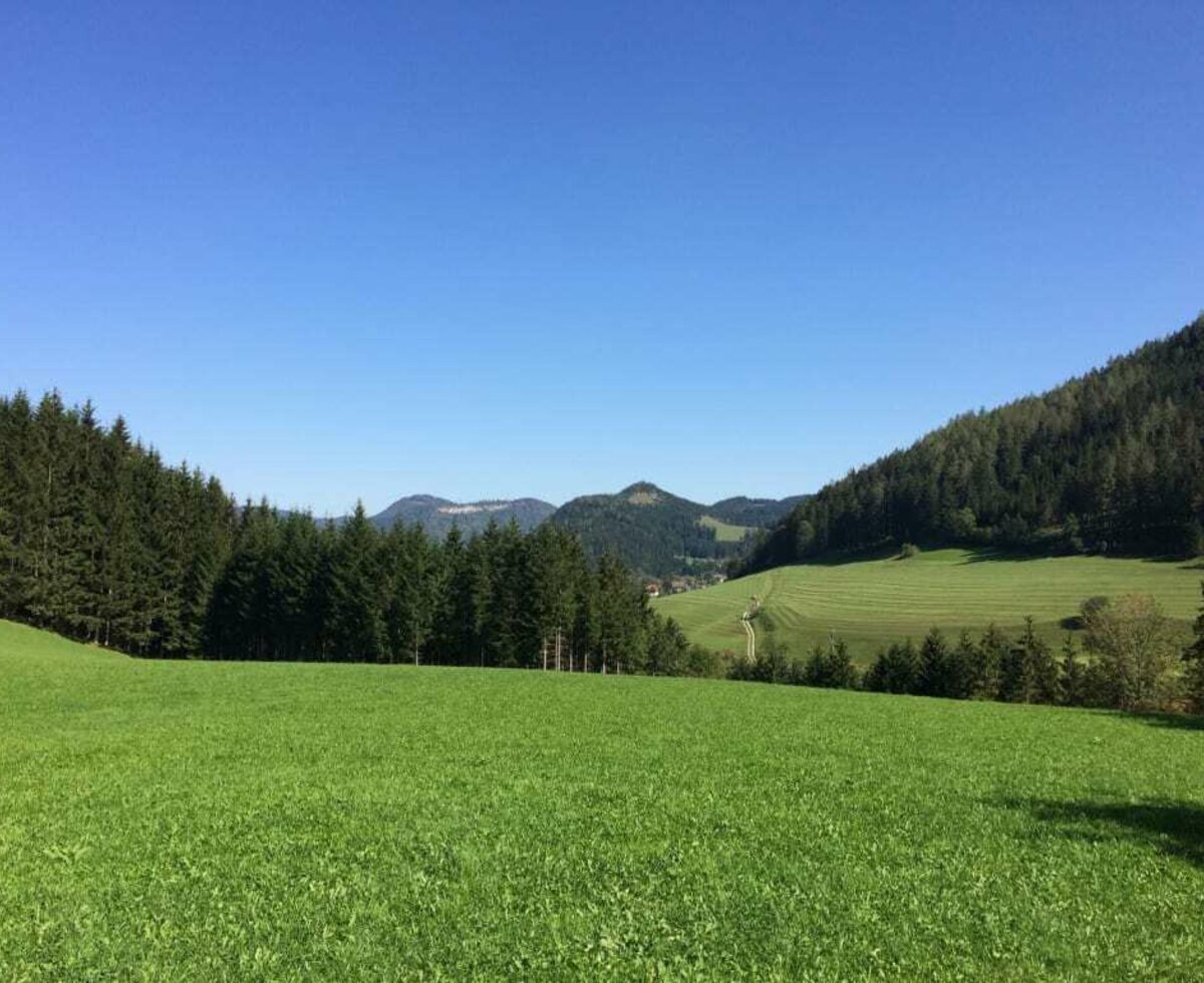 Ferienstadl Hammerau - rund ums Haus