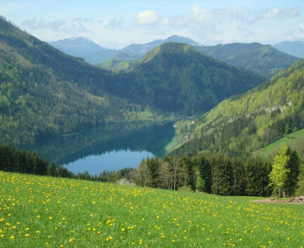 Ferienwohnung Schlögelhofer - Lunzer See