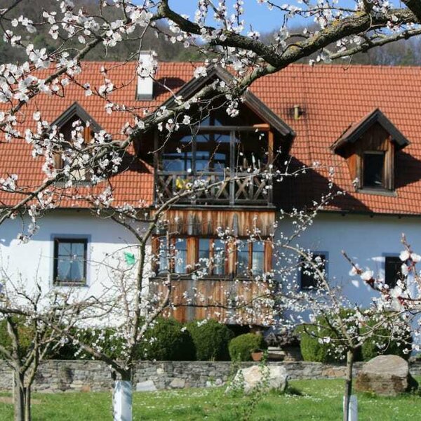 Blick von unserem Marillengarten zum Haus