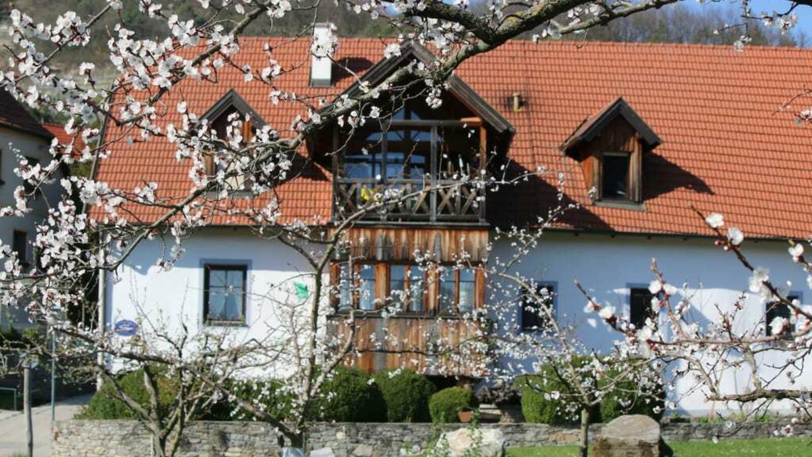 Blick von unserem Marillengarten zum Haus