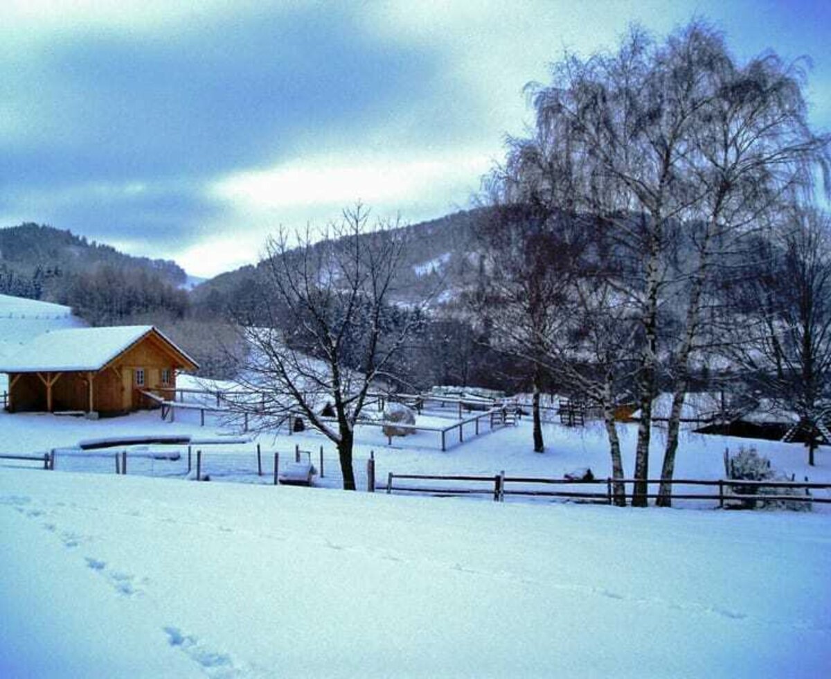 der Spielplatz im Winter