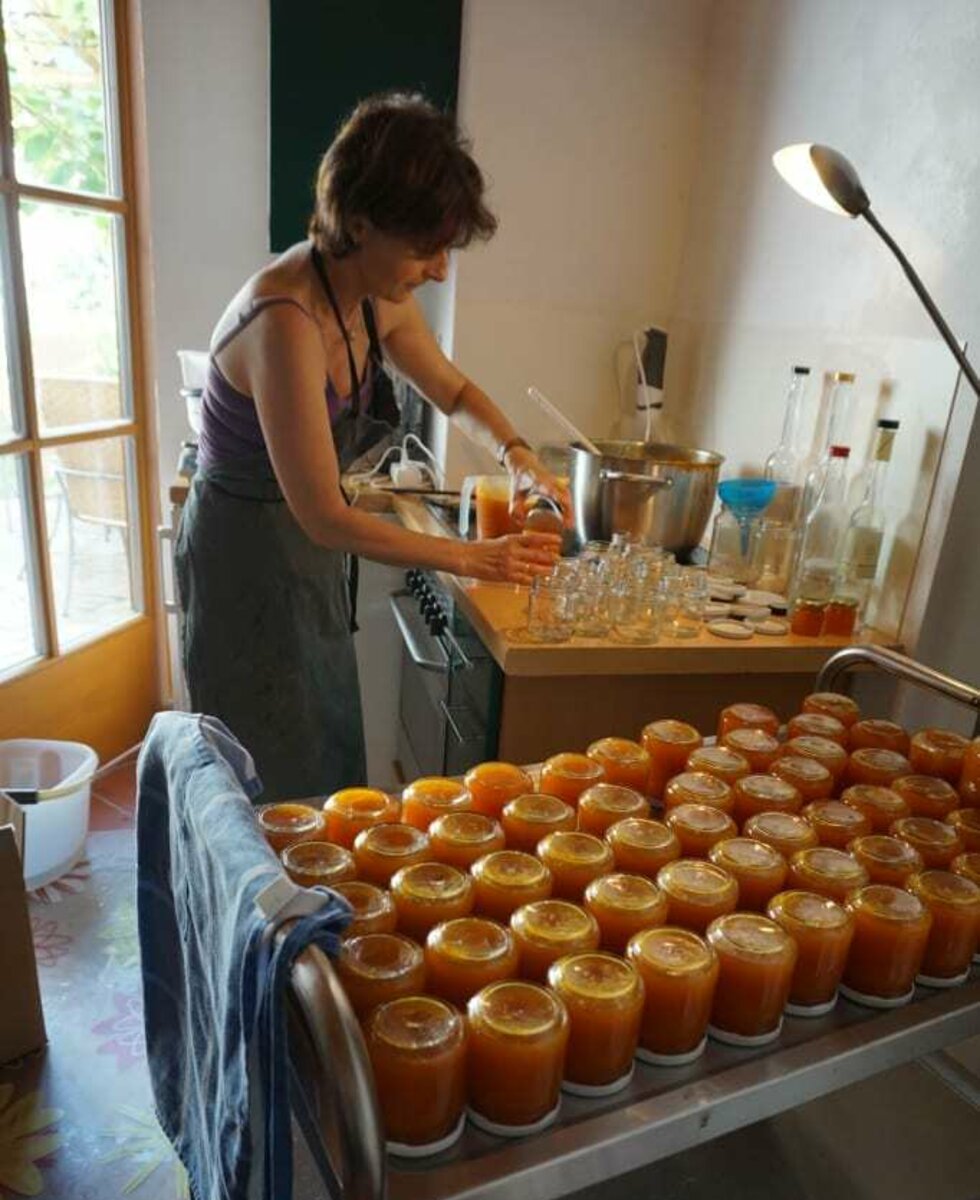 Einkochen von der Wachauer Marillenmarmelade