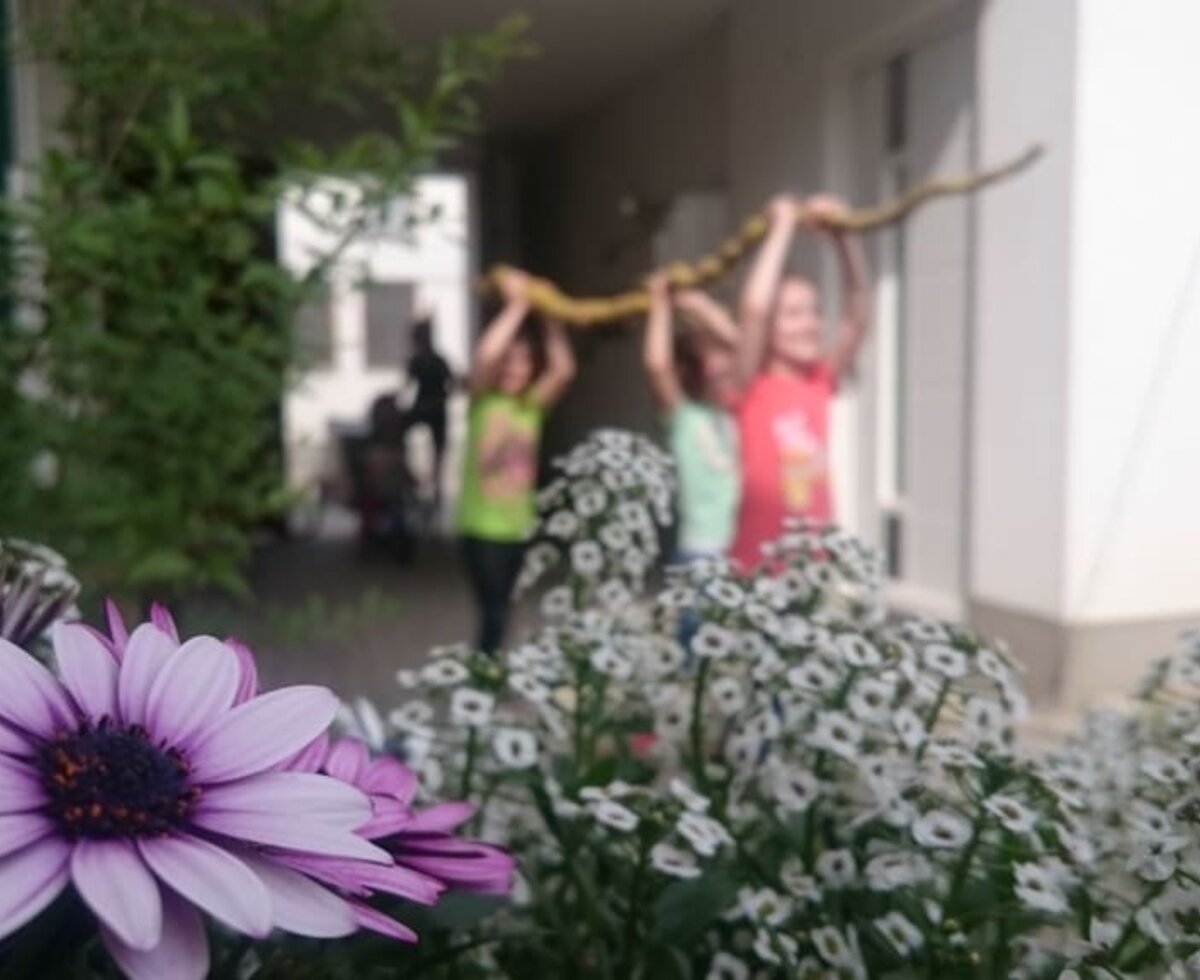 Gästehaus Lösshof - Kinder beim Spielen