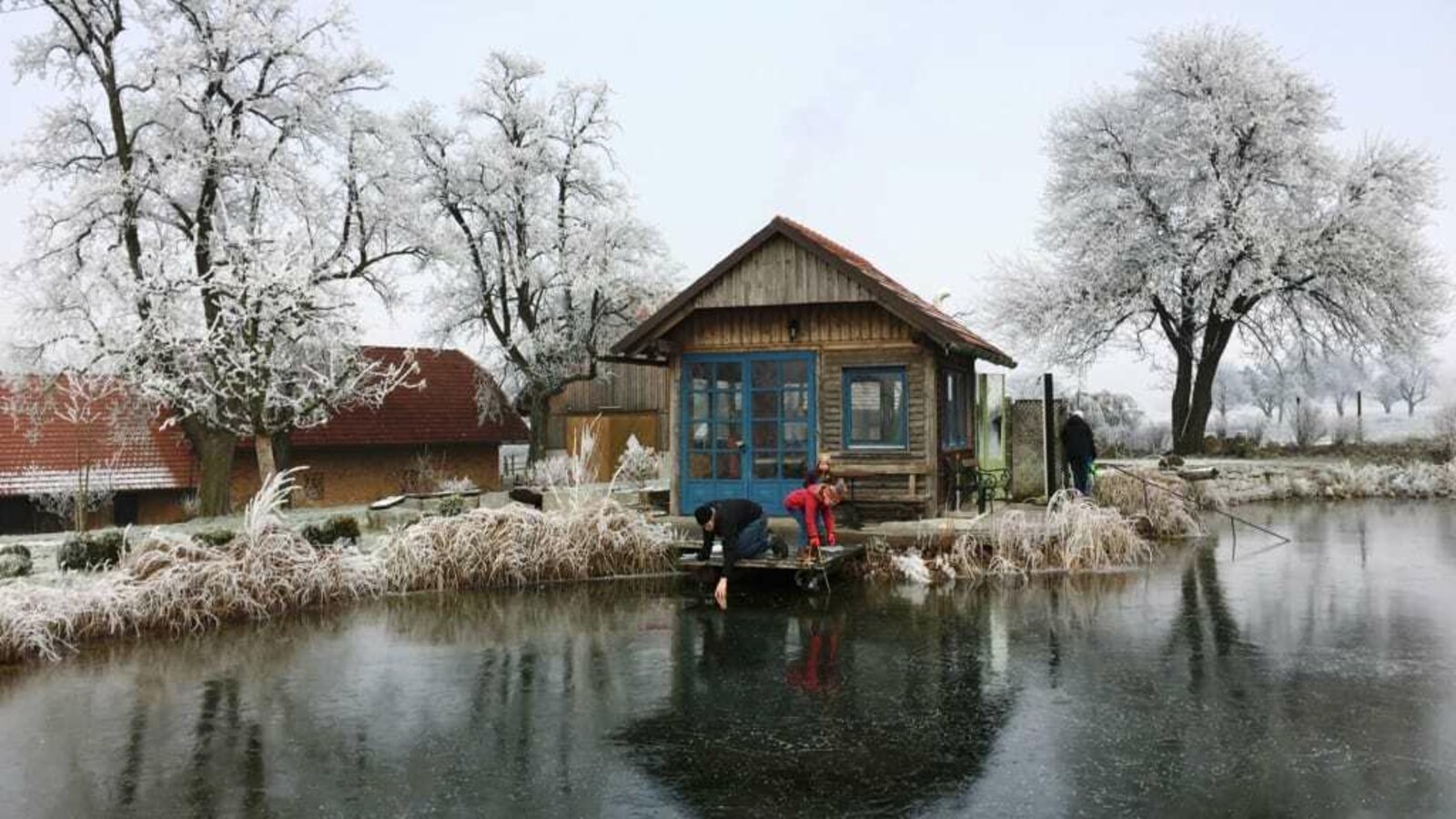 Unser Naturbiotop im Winter