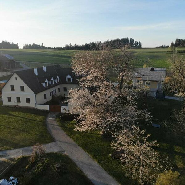 Hacklhof im Frühling