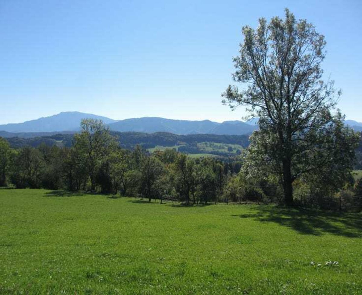 Hirmhof - Aussicht zum Ötscher