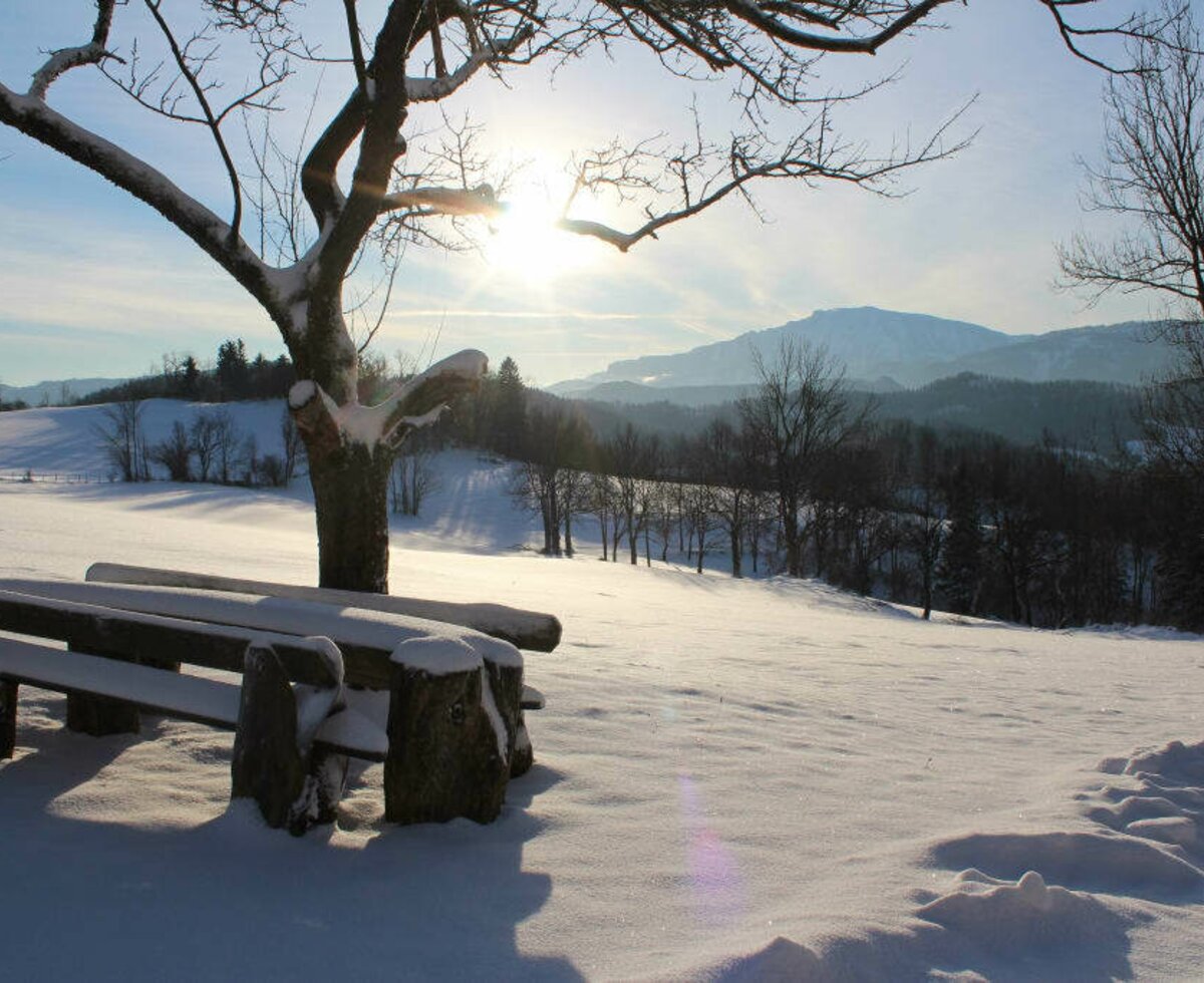 Ötscher Winter