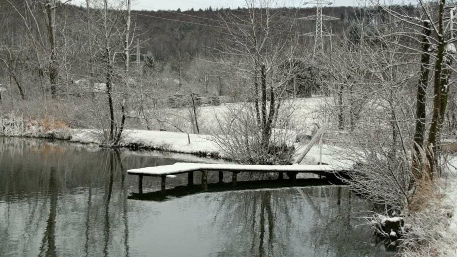 Teich im Winter (Foto: Familie Breitner)