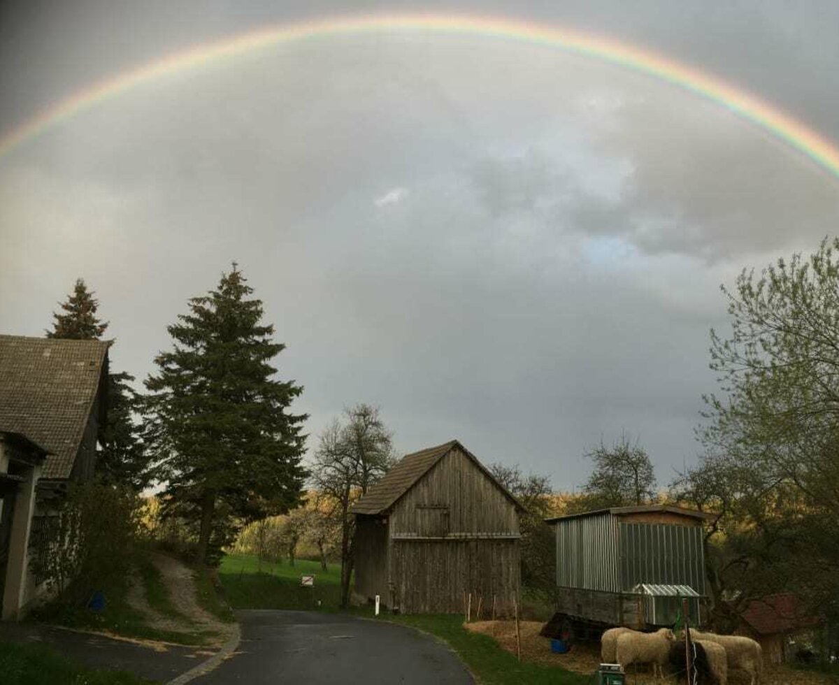 Hof Sonnegg - Regenstimmung © Manuel  Studenik