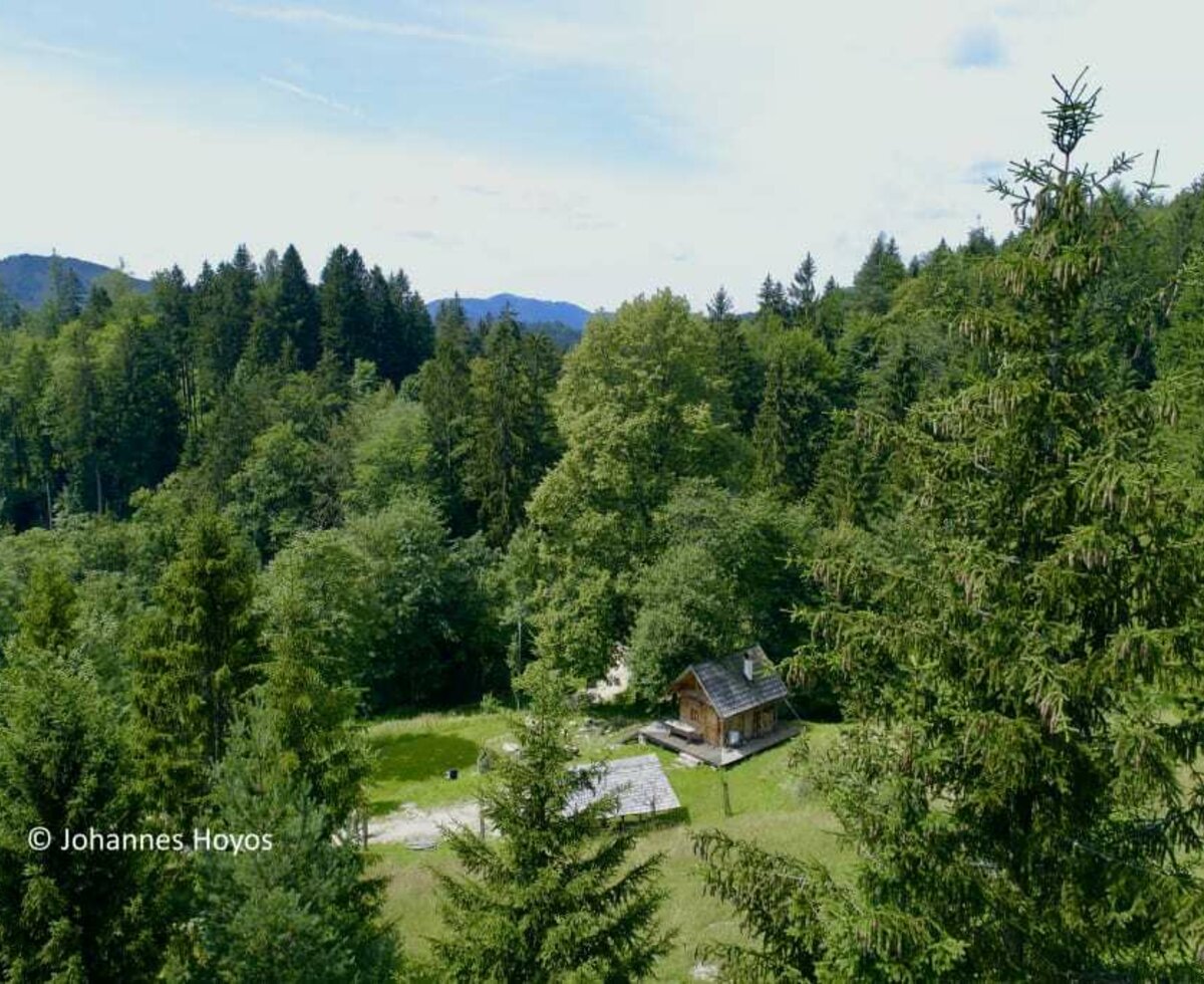 Holzknechthütte - Waldpanorama