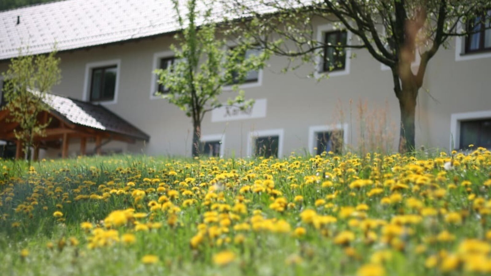 Karhof - Vor dem Karhof gibt's viel Grün um Entspannen und Ruhe genießen