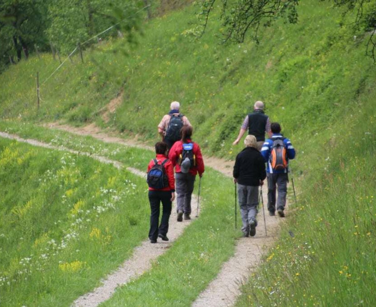 Karhof - Das Pielachtal ist ein tolles Wandergebiet! Einfache Spaziergänge oder anspruchsvolle Tagestouren - es ist für jeden was dabei