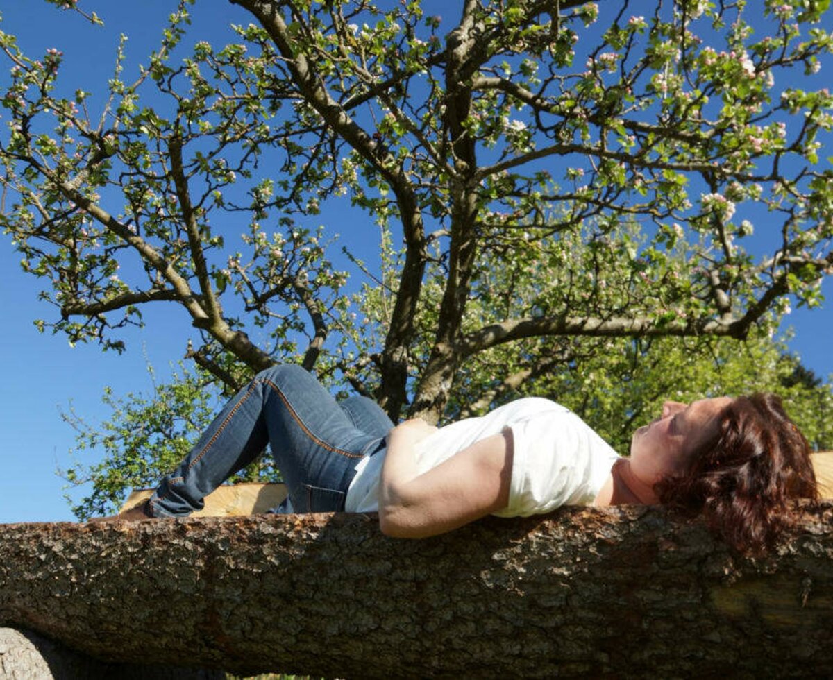 Karnerhof - Auszeit unterm Apfelbaum © Christoph Ludwig