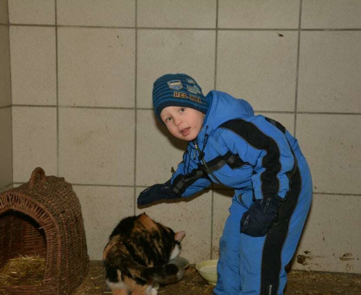 Auf unseren Hof sind einige Katzen die sich über jede Streicheleinheit freuen.