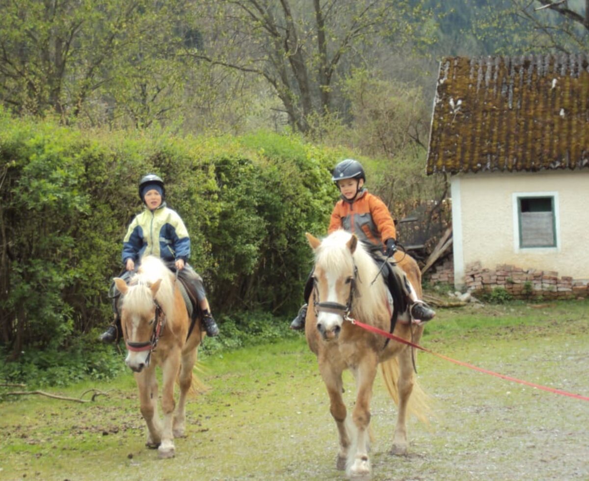 Reiten mit unseren Haflingerpferden