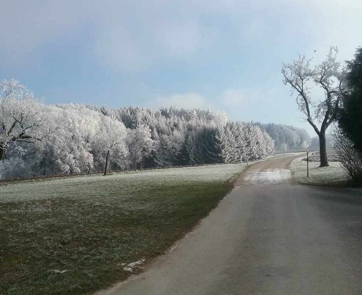 Landhaus Schaidreith - Winter