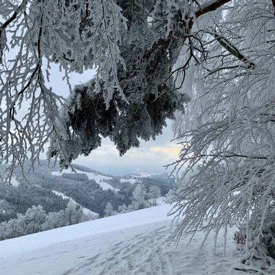 Spaziergang im Winter