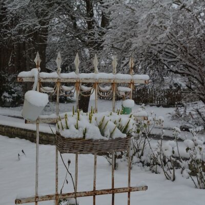 Garten in Winter