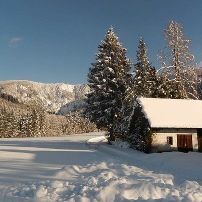 Lassingbauer - Winterlandschaft