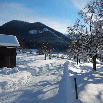 Lassingbauer - Winter - Zufahrt zum Hof