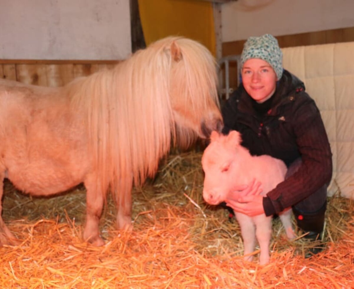 Juweeltje mit Cocobella