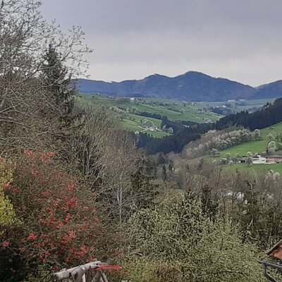 Schau aus dem Fenster.....