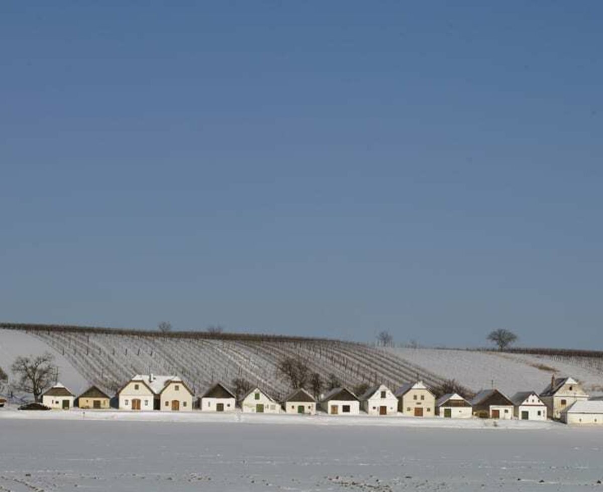 Weinberg und Kellergasse mit Schnee