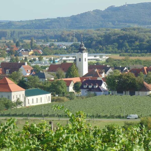 Rohrendorf im Sommerlook