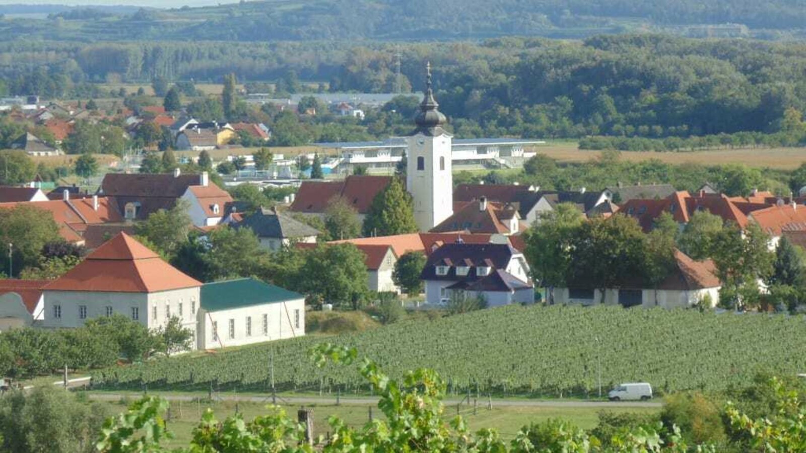 Rohrendorf im Sommerlook