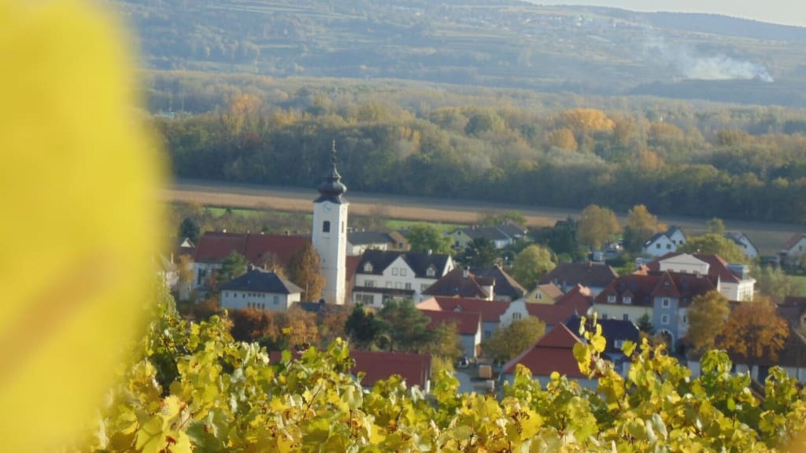 Herbstlicher Rohrendorfblick