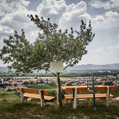 Sturmhimmel über Rohrendorf