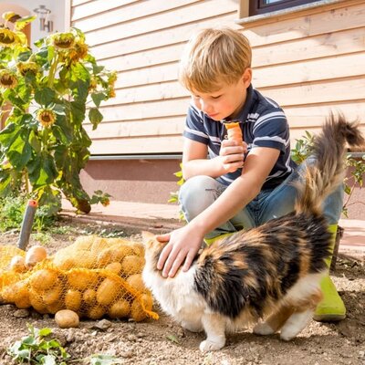 Sonnseitnhof - Bub mit Katze | © Harald Vogler