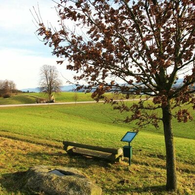 Der Steinursch, ein mystischer Platz am Hof