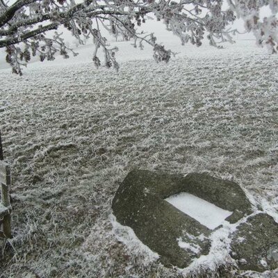 Der Steinursch im Winter