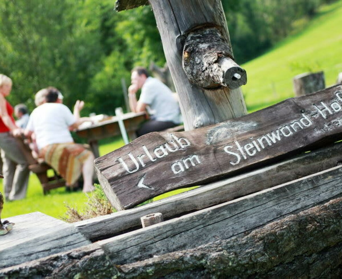 Willkommen am Steinwandhof