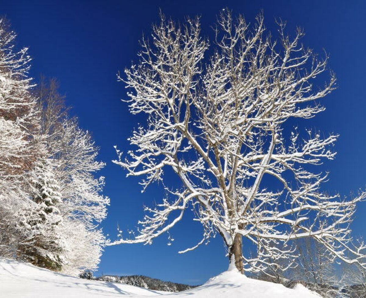 Wintertraum vor der Tür